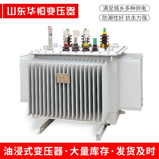 S13-10000/35三沙三沙三沙电力变压器